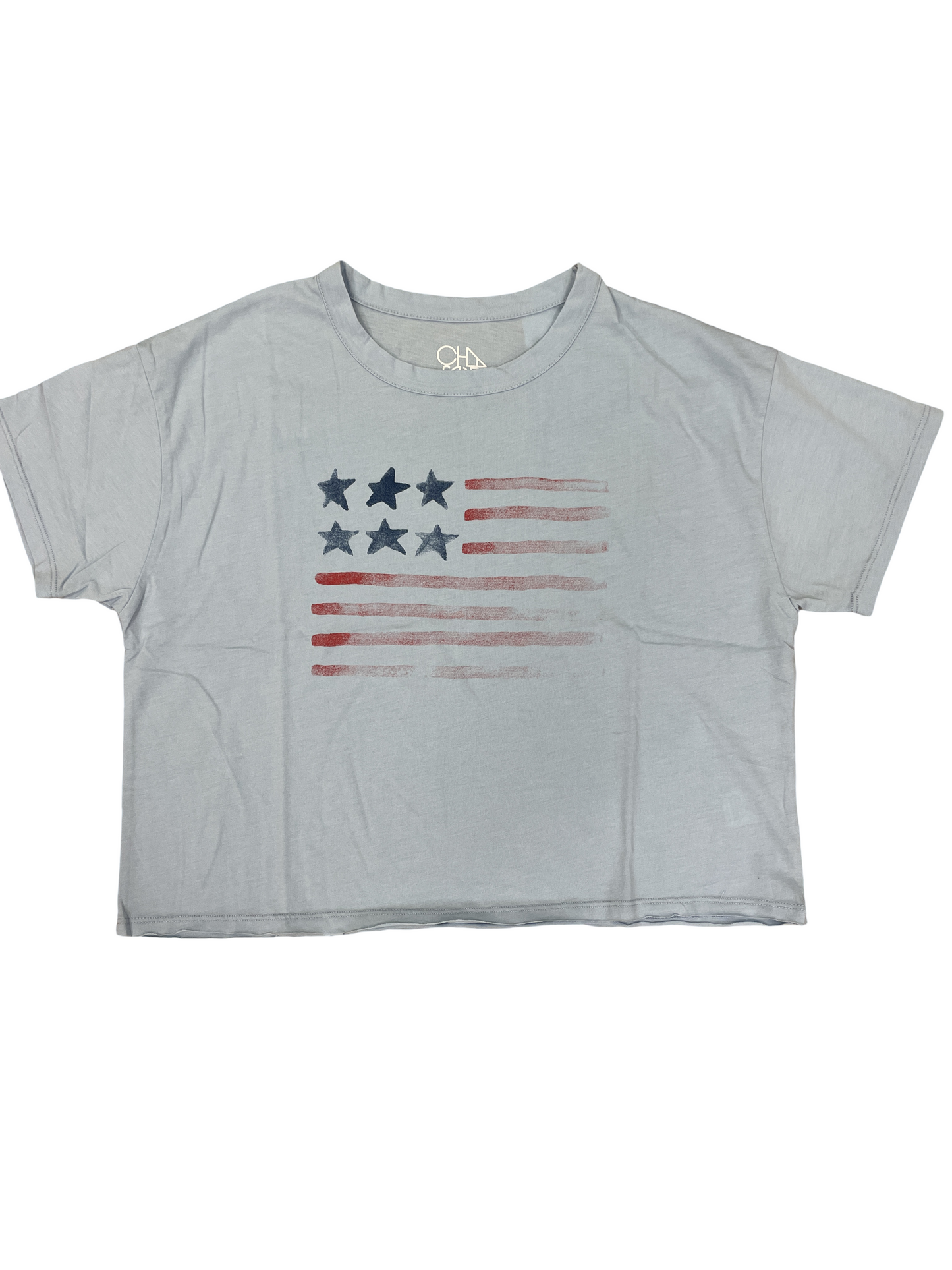 CHASER Flag Tee