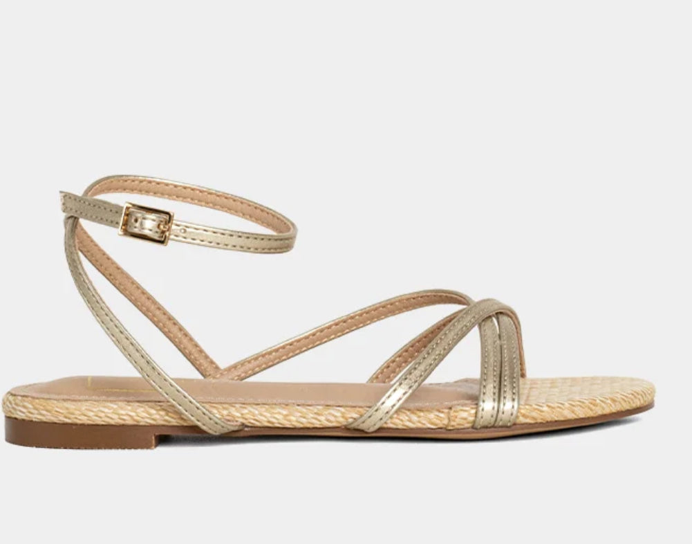 Dana Mini Shoe Shop