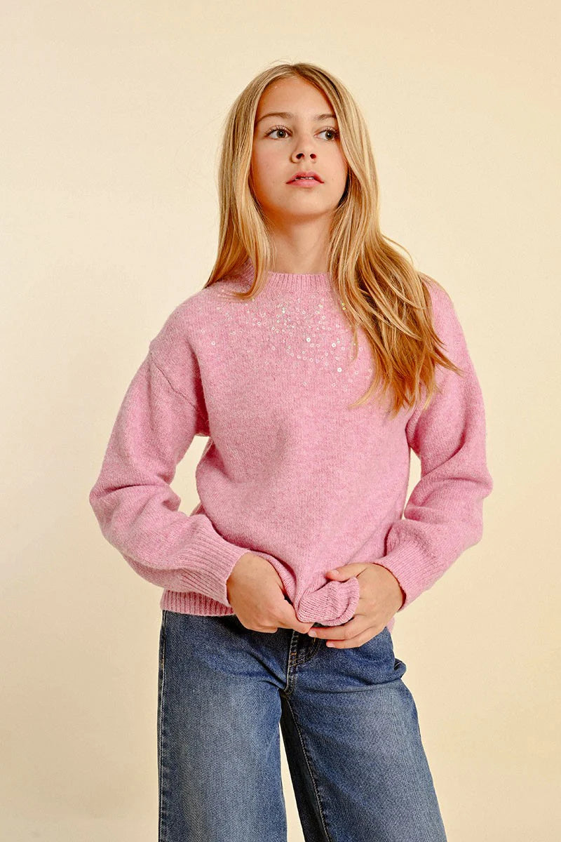 Sweater with Sequins