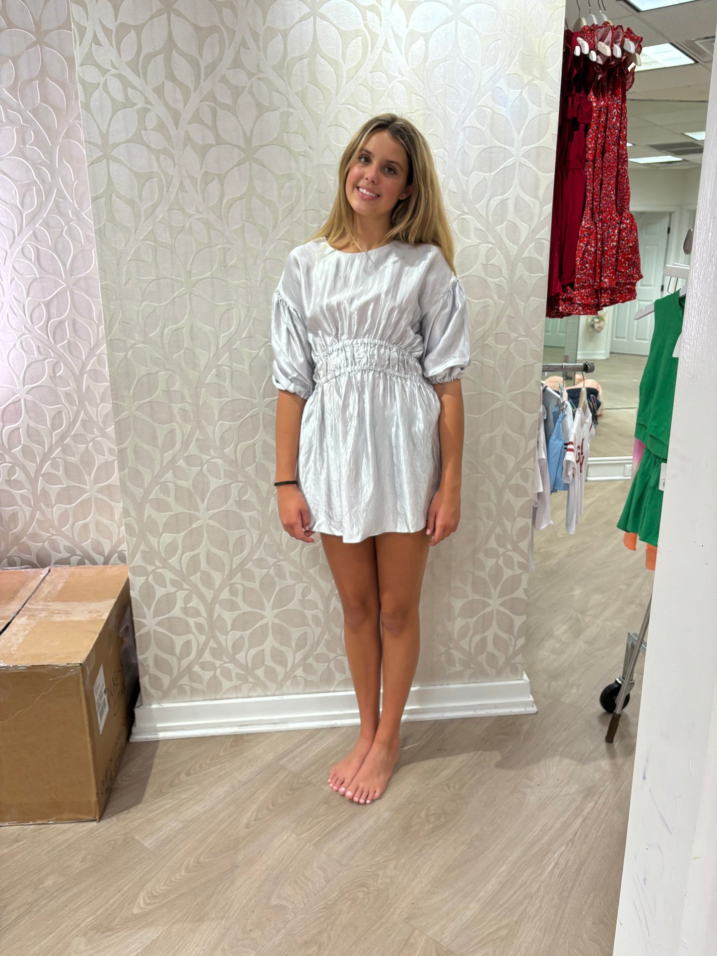 Meet Marie Silver Puff Sleeve Dress