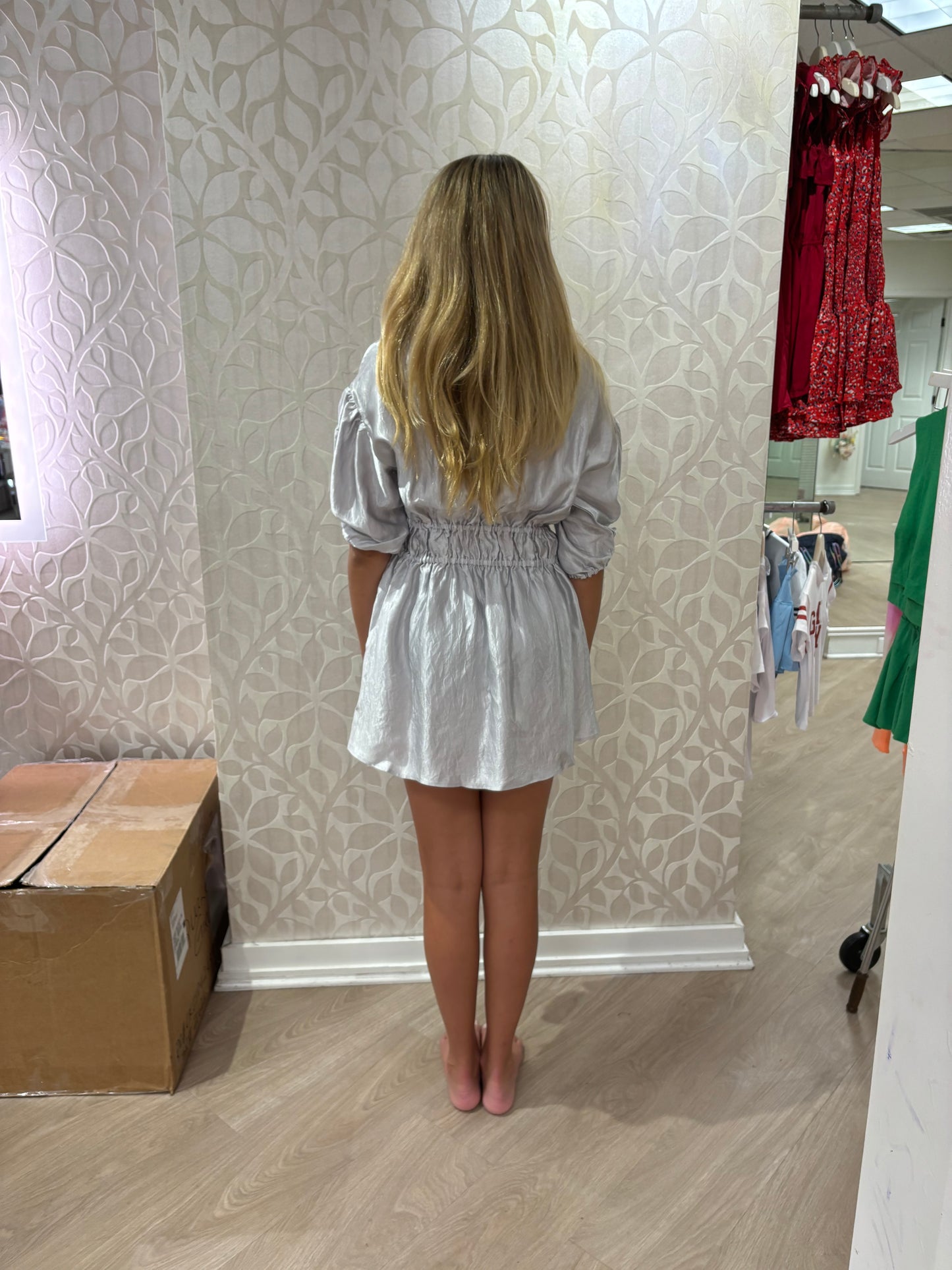 Meet Marie Silver Puff Sleeve Dress