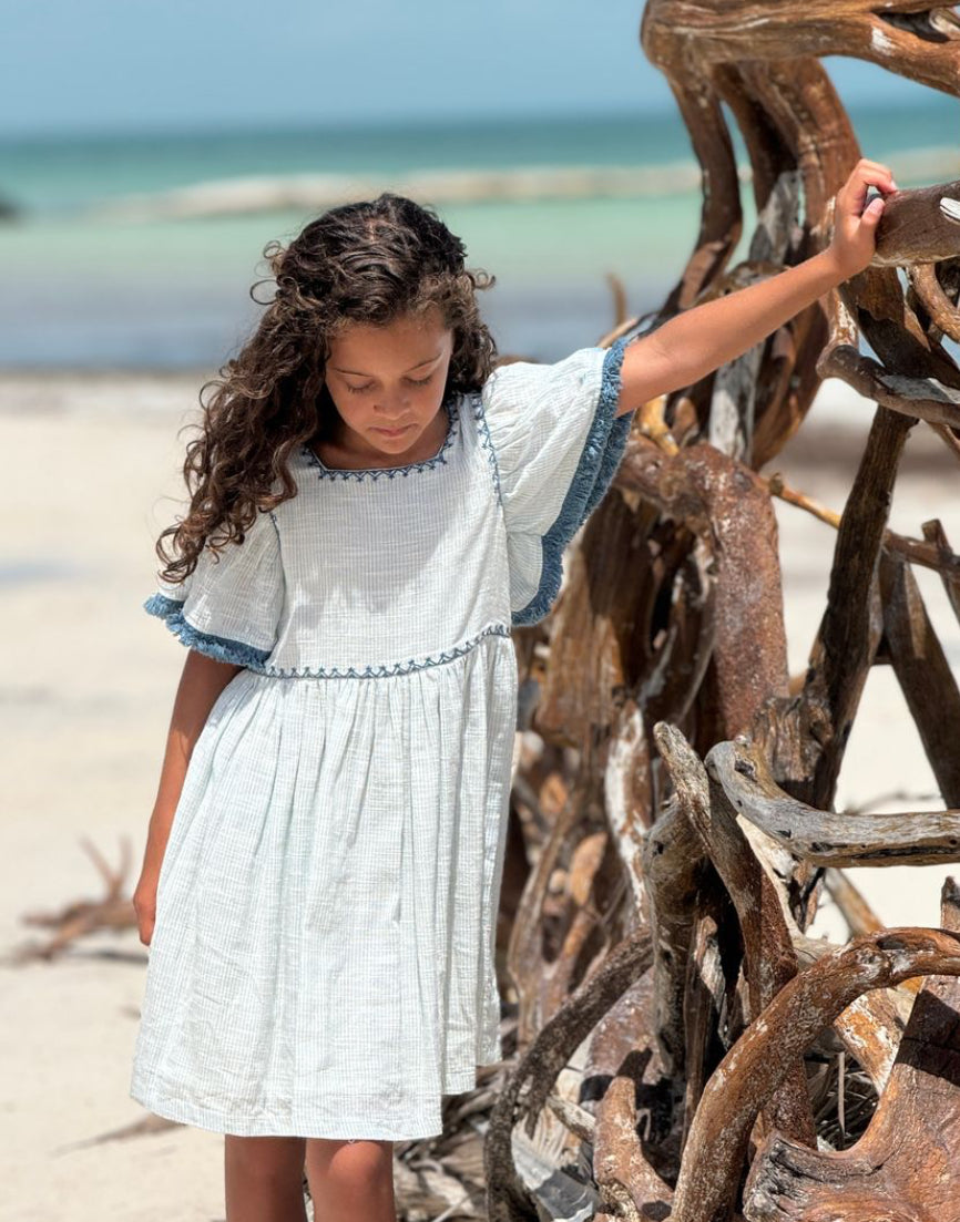 Angel Sleeve Dress