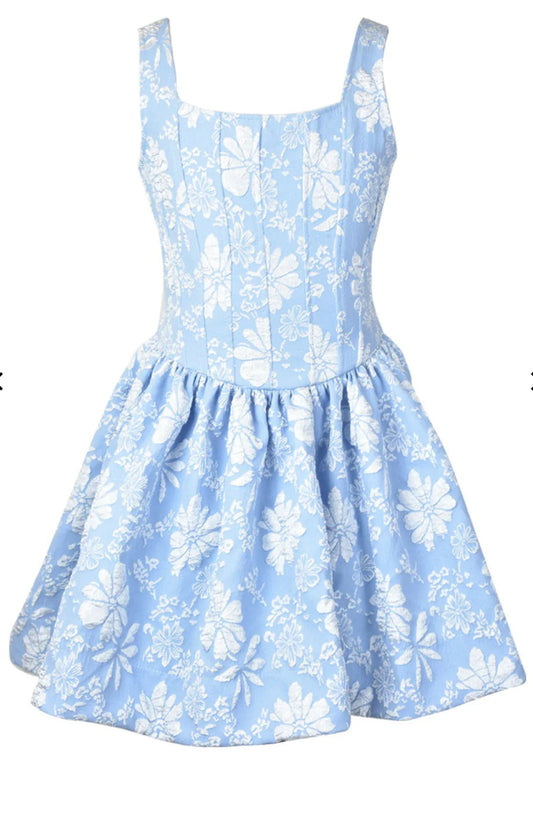 FBZ Blue Flower Embossed Dress