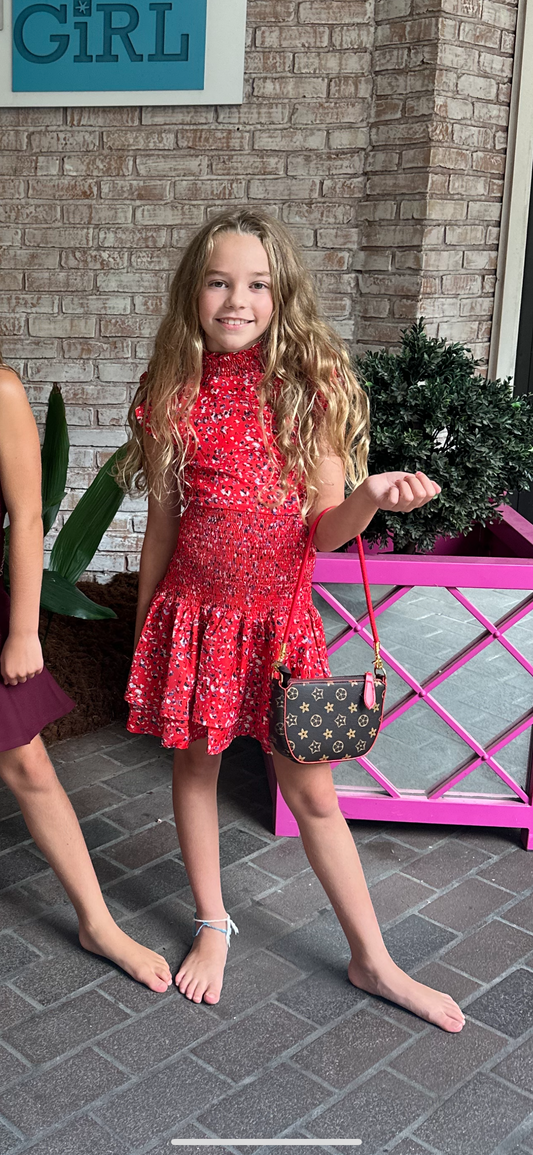 Miss Behave Smocked Dress