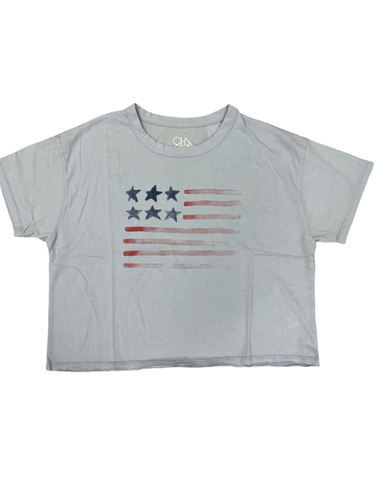 CHASER Flag Tee
